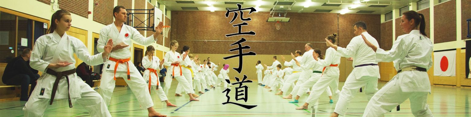 Die Katas im Shotokan Karate – KARATE DOJO FUNAKOSHI TROISDORF e.V.